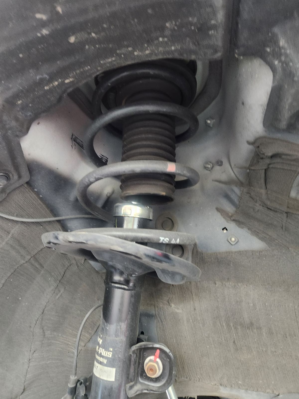 Strut & Coil Spring Service, Walnut Smog & Repair, Pasadena CA